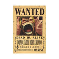 One Piece Anime Bounty Wanted Posters 