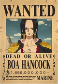 One Piece Anime Bounty Wanted Posters 