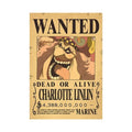 One Piece Anime Bounty Wanted Posters 