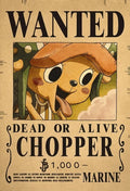One Piece Anime Bounty Wanted Posters 