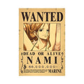 One Piece Anime Bounty Wanted Posters 