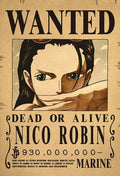 One Piece Anime Bounty Wanted Posters 