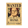 One Piece Anime Bounty Wanted Posters 