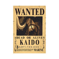 One Piece Anime Bounty Wanted Posters 