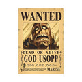 One Piece Anime Bounty Wanted Posters 