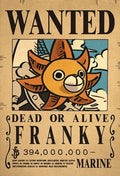 One Piece Anime Bounty Wanted Posters 