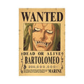 One Piece Anime Bounty Wanted Posters 