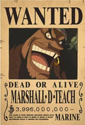 One Piece Anime Bounty Wanted Posters 
