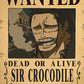 Ultimate Collection of 30+ Latest One Piece Wanted Posters