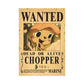 Ultimate Collection of 30+ Latest One Piece Wanted Posters