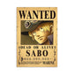 Ultimate Collection of 30+ Latest One Piece Wanted Posters