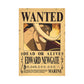 Ultimate Collection of 30+ Latest One Piece Wanted Posters