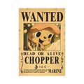 One Piece Anime Bounty Wanted Posters 