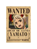 One Piece Anime Bounty Wanted Posters 