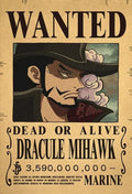 One Piece Anime Bounty Wanted Posters 