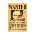 One Piece Anime Bounty Wanted Posters 